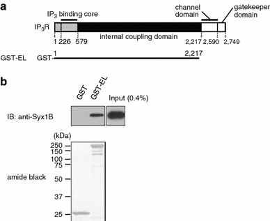 Fig. 1