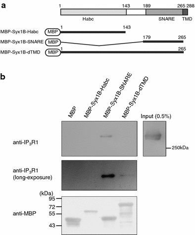 Fig. 3