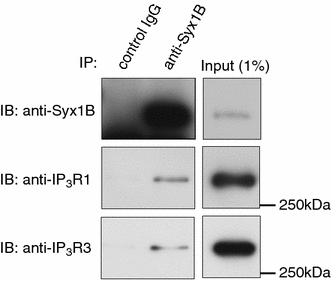 Fig. 6