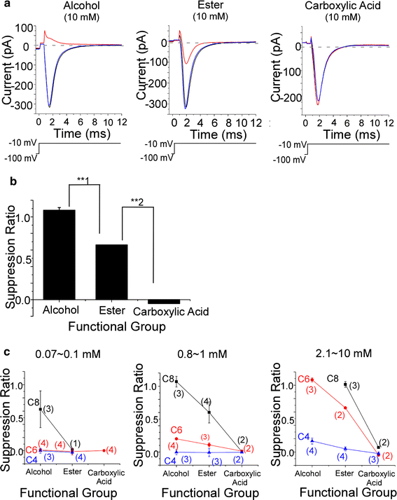 Fig. 6