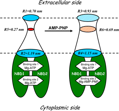 Fig. 5