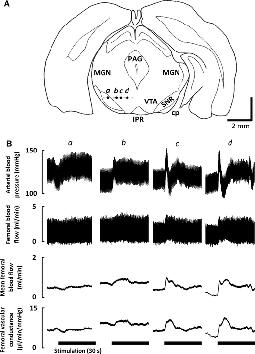 Fig. 2