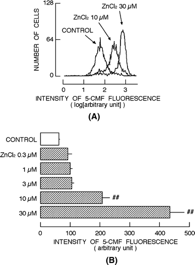 Fig. 5