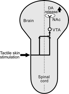 Fig. 7