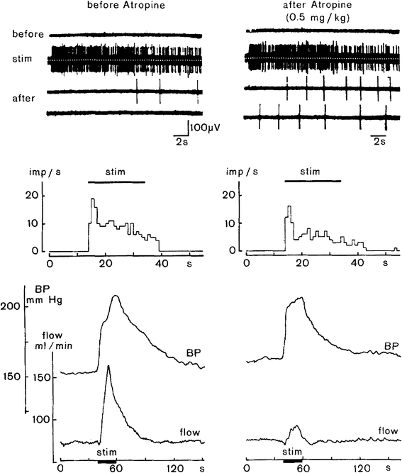 Fig. 12