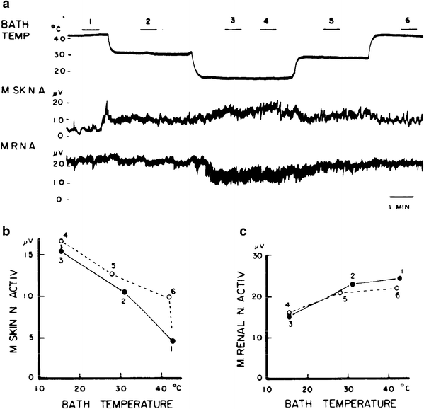 Fig. 20