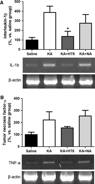 Fig. 4