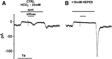 Fig. 6