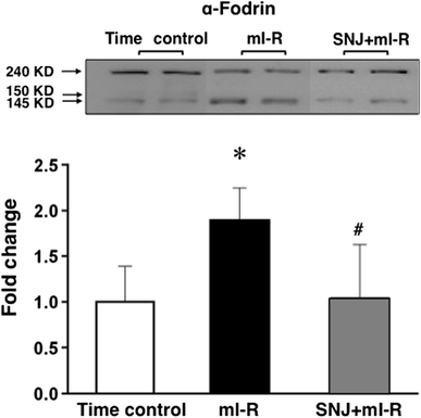 Fig. 7