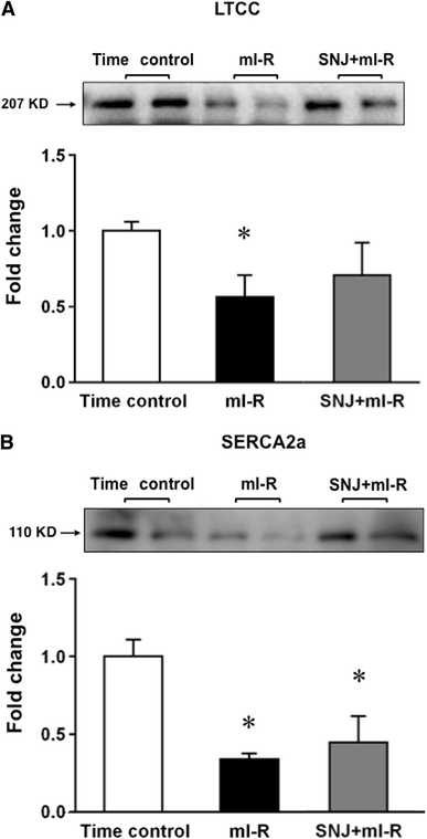 Fig. 8