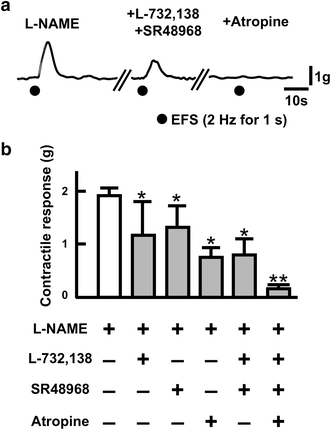 Fig. 3