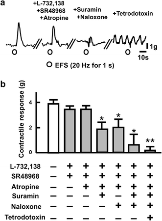 Fig. 7