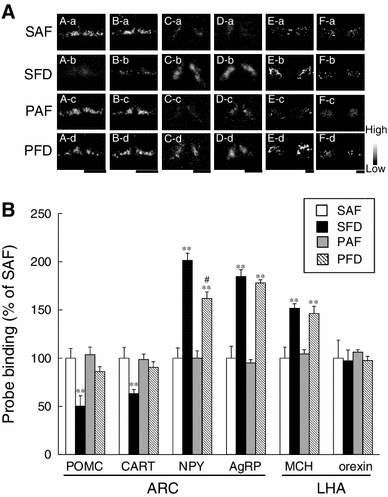 Fig. 6