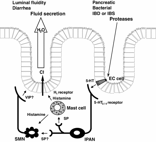 Fig. 9