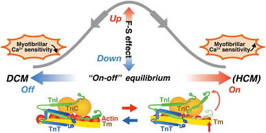 Fig. 6