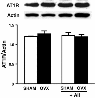 Fig. 6