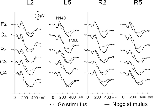 Fig. 2