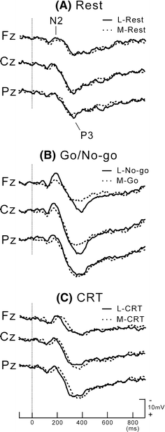 Fig. 3