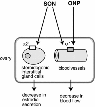 Fig. 5