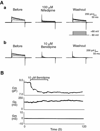 Fig. 4