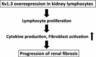 Fig. 9