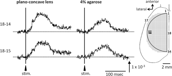 Fig. 2