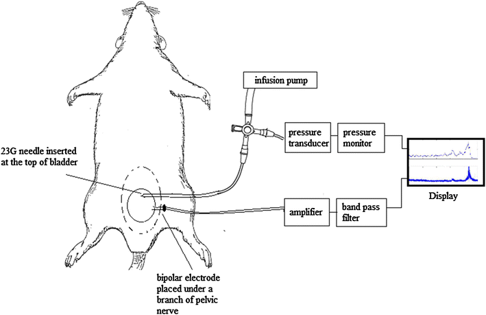 Fig. 1