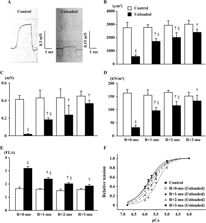 Fig. 7