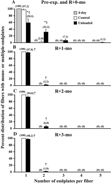 Fig. 9