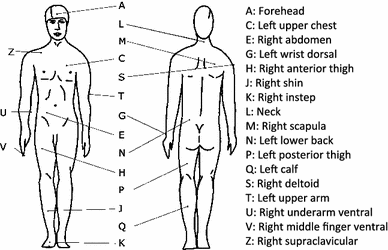 Fig. 1