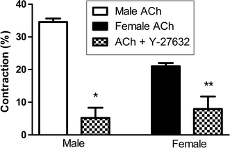 Fig. 6