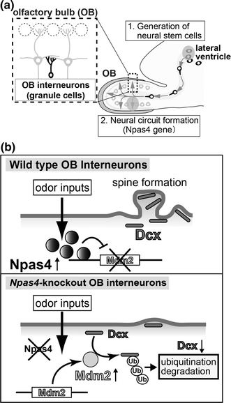 Fig. 3