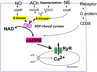 Fig. 3