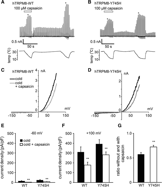 Fig. 6