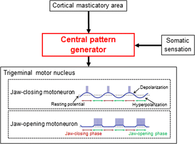 Fig. 3