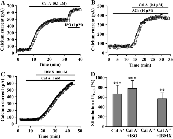 Fig. 2