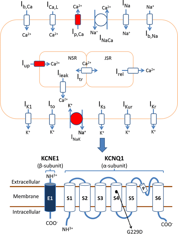 Fig. 1