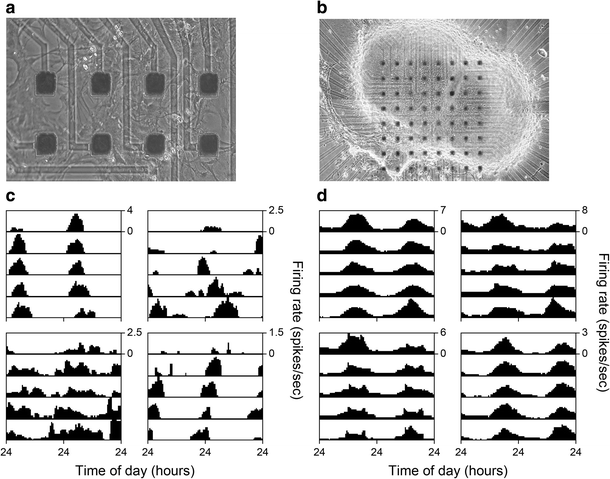 Fig. 4