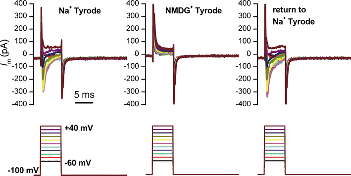 Fig. 3