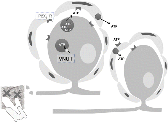 Fig. 2