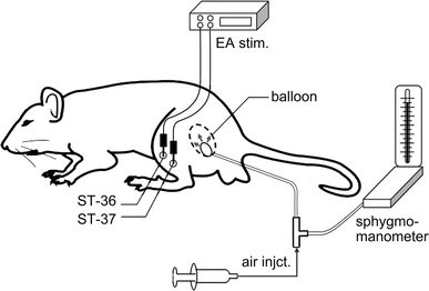 Fig. 1