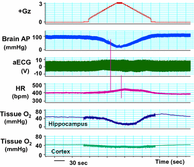 Fig. 6