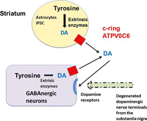 Fig. 2