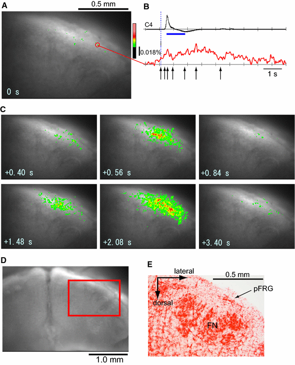 Fig. 2