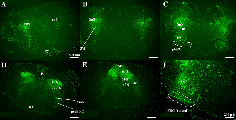 Fig. 3