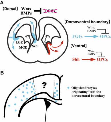 Fig. 6