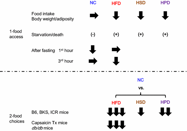 Fig. 6