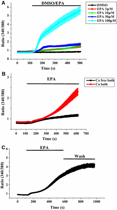 Fig. 2