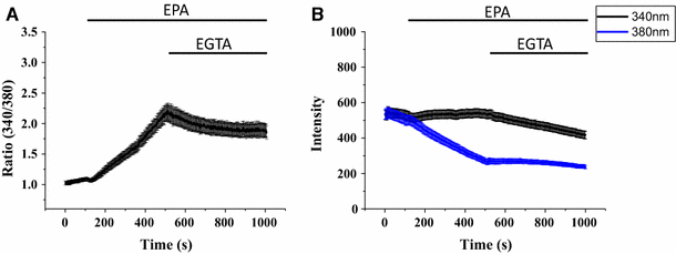 Fig. 4