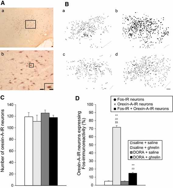 Fig. 4